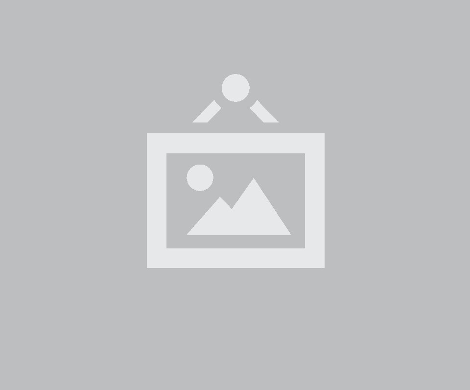 Viften ApS logo
